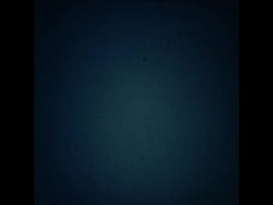 UPITN 12/1/80 AFTHERMATH OF FIGHTING BETWEEN RIVAL KHMER FACTIONS News Clip