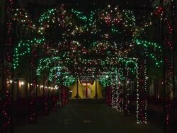 Many colors of blinking Christmas lights Fulton Street in New Orleans Stock Footage