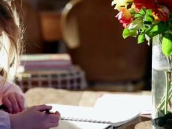 MS PAN Young girl writing in her notebook / Lamy, New Mexico, United States Stock Footage
