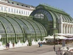 PAN Palmenhaus (Palm House) in the Vienna Burggarten Stock Footage