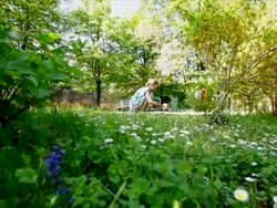 Gardener woman among her flowers and plants Stock Footage