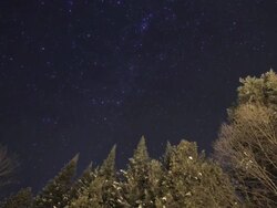 Trees night sky timelapse Stock Footage