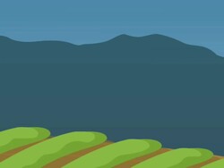 HD: Cartoon Wine Country Stock Footage