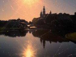 Spider web Stock Footage