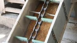 Corn processing factory Stock Footage