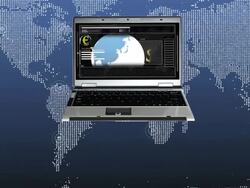 Incoming Financial Report Stock Footage