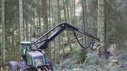 A forwarder, a specialist logging machine cutting down timber in Grizedale Forest, Lake District, Cumbria, UK. Stock Footage