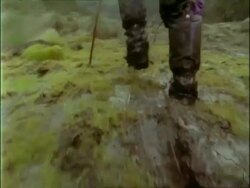 MS low angle view of muddy booted legs wading through marsh, Rwenzori Mountains, Uganda Stock Footage