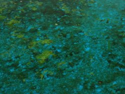 Water texture Stock Footage