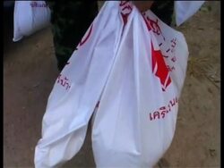 WRAP Alaskan fire fighters, Japanese aid; French ambassador News Clip