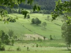HD: landscape in the summer Stock Footage