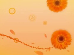 Growing floral pattern Stock Footage