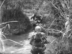 Vietnam War in the Spring Stock Footage