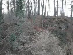 Aerial W/S, Atmospheric Forest in Winter Stock Footage