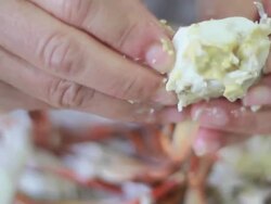 Claw Crab Stock Footage