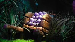 Celebrating 60 years of the iconic blue characters Instructional Video