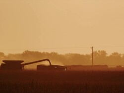 Wide shot in a cornfield featuring a combine transferring harvested corn into a wagon against  golden sunset. Stock Footage