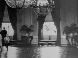 The White House Stock Footage