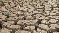 arid climate Stock Footage