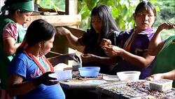 CLEAN : Displaced Colombian jungle children starve in peace News Clip