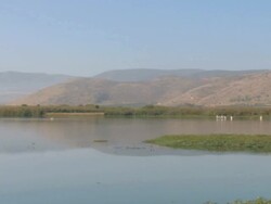 WS PAN View of Hula valley / Hula Valley, Upper Galilee, Israel  Stock Footage