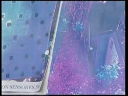 Police to decide whether German fugitive is extradited Instructional Video