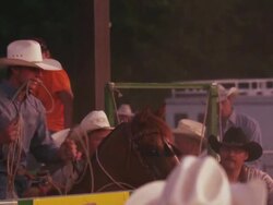 A cowboy with a lariat busts out the chute and attempts to rope a steer - shot in slow motion. Stock Footage