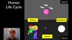 Meiosis Instructional Video