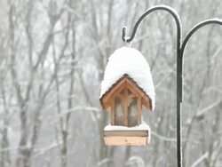 Snowing birdhouse Stock Footage