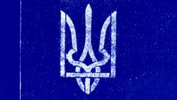 Ukraine coat of arms Stock Footage