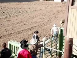 WS Cowboy rides and falls from bucking bull / Wickenbur,Arizona,USA Stock Footage