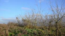 Steppe in Azerbaijan Stock Footage