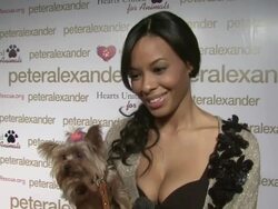 PETER ALEXANDER LAUNCHES NEW FLAGSHIP BOUTIQUE Stock Footage