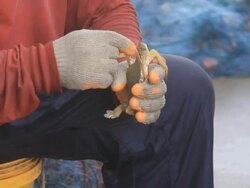 Fishermen at work, pulling the nets Stock Footage