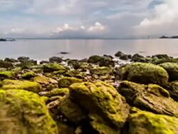 Rocks by the sea day to night timelapse VETTA Stock Footage