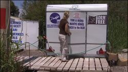 Abandoned dolphins rescued News Clip