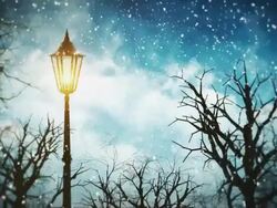 Christmas  Landscape | Loopable Stock Footage