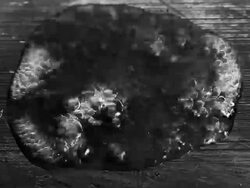 ice to steam Stock Footage