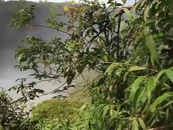 WS PAN View of waterfall at UTIARITI/ Campo Novo do Parecis, Mato Grossso, Brazil Stock Footage