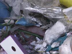 Pile of Plastic Waste TILT UP Stock Footage