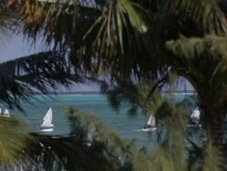 Sailboats off coast of Belize Stock Footage