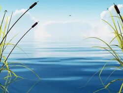 Summertime Stock Footage