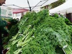 Vegitables at an open market in San Francisco Stock Footage