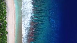 Overhead view of gentle waves breaking on Pacific Atoll Stock Footage