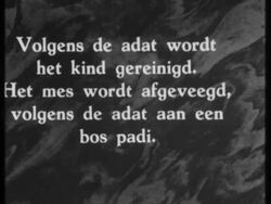 A woman gives birth to a baby on Java, the baby is cleaned with a knife Stock Footage