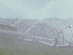 Slow Motion Water sprays from irrigation pipe in alfalfa field Stock Footage