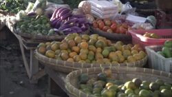 Fruits and vegetables fill baskets in an outdoor market. Stock Footage