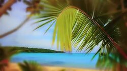 Tropical beach Stock Footage