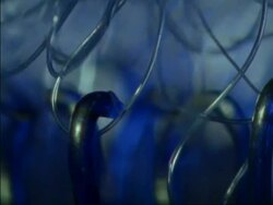 BCU Blue plastic Velcro pulling apart Stock Footage