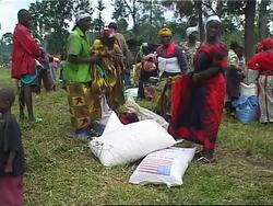 Crowds wait for food at camp, MSF treats cholera victims News Clip